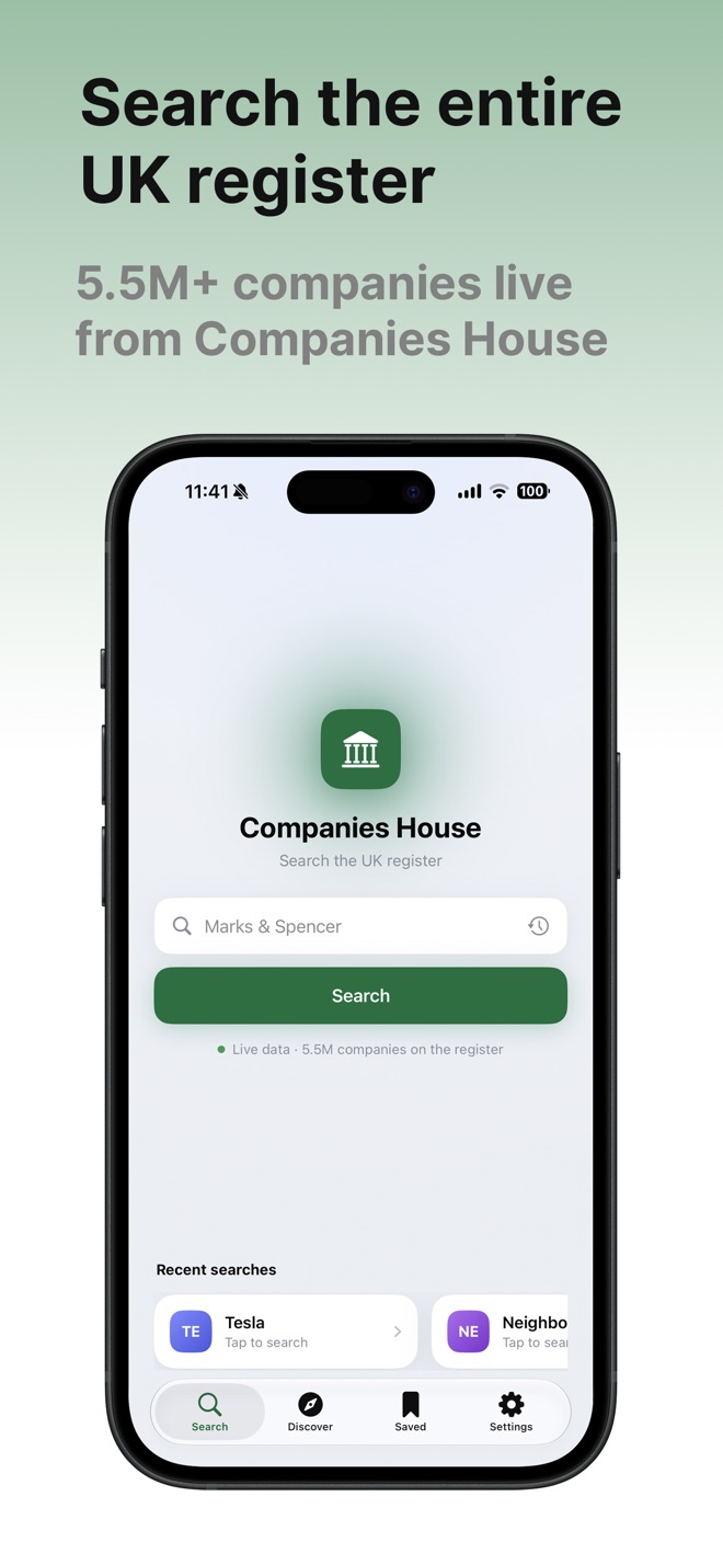 Companies House screenshot 1