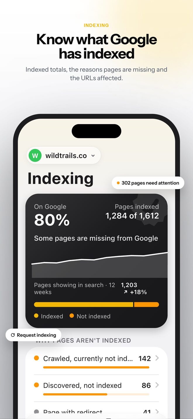 Search Console screenshot 3 - Indexing