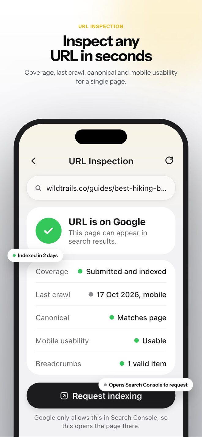 Search Console screenshot 4 - URL Inspection
